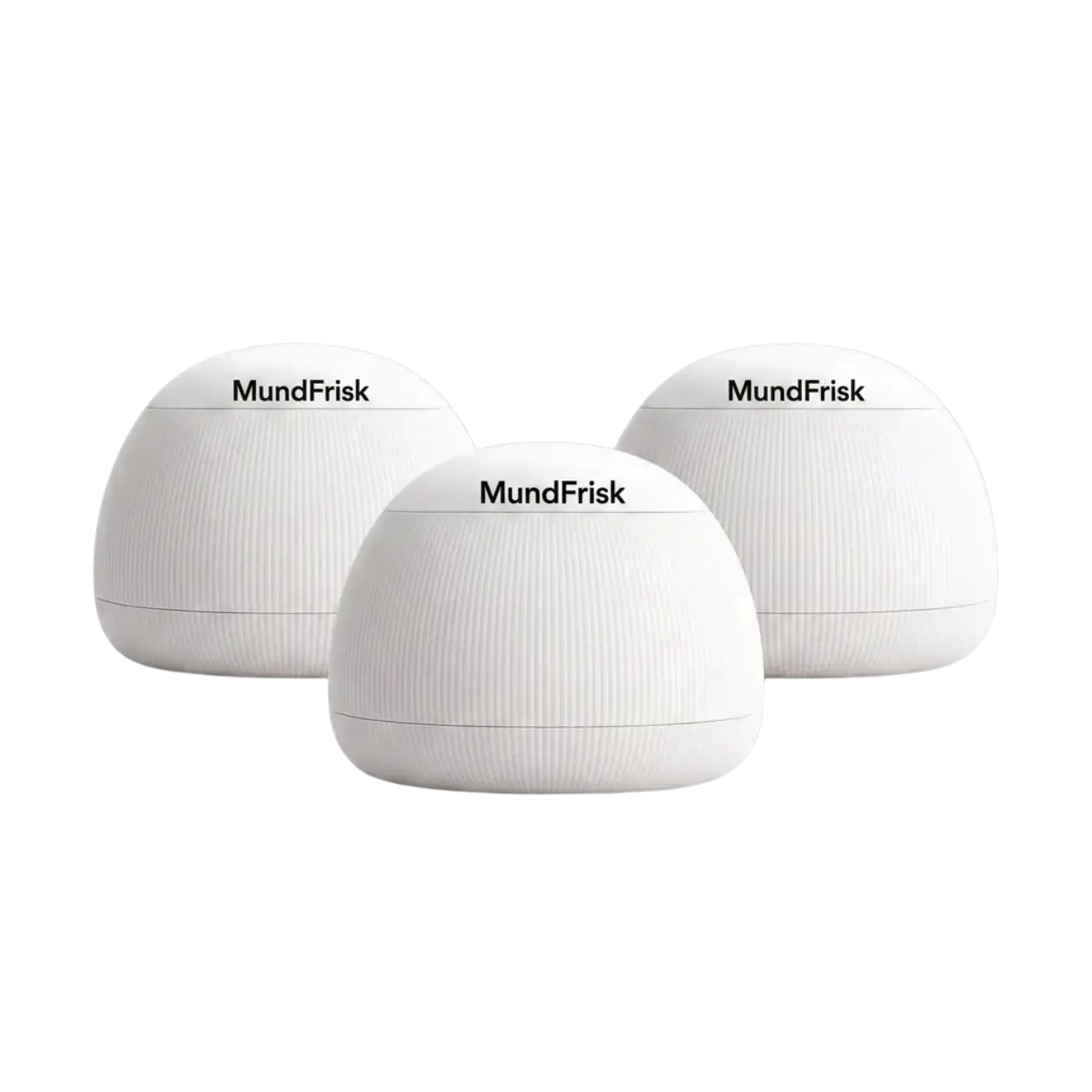MundFrisk