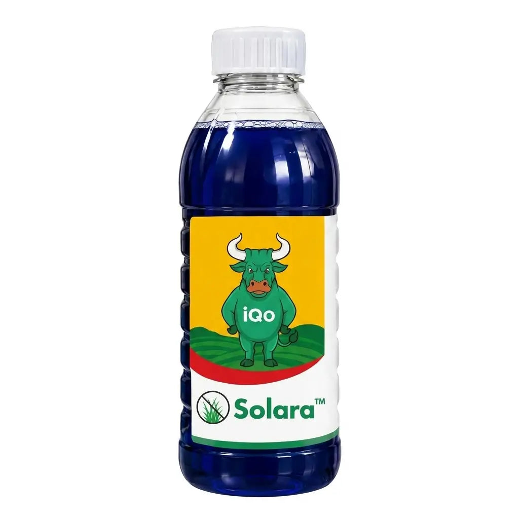 Solara