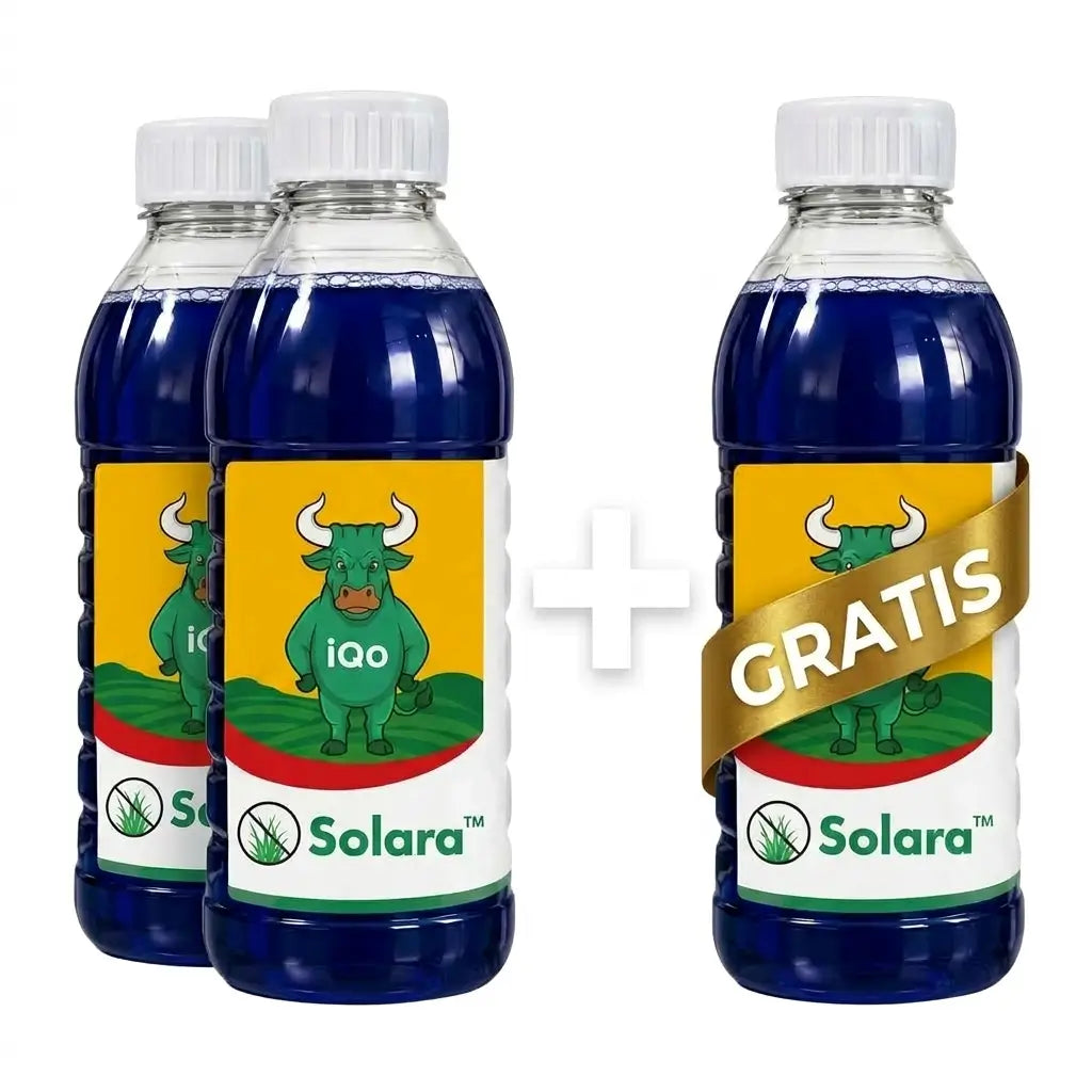 Solara
