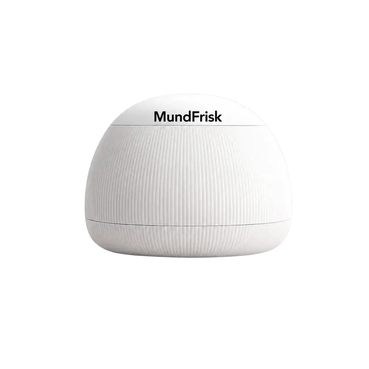 MundFrisk