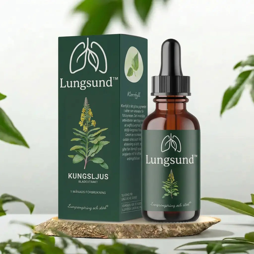 Lungsund