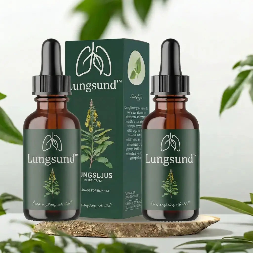 Lungsund